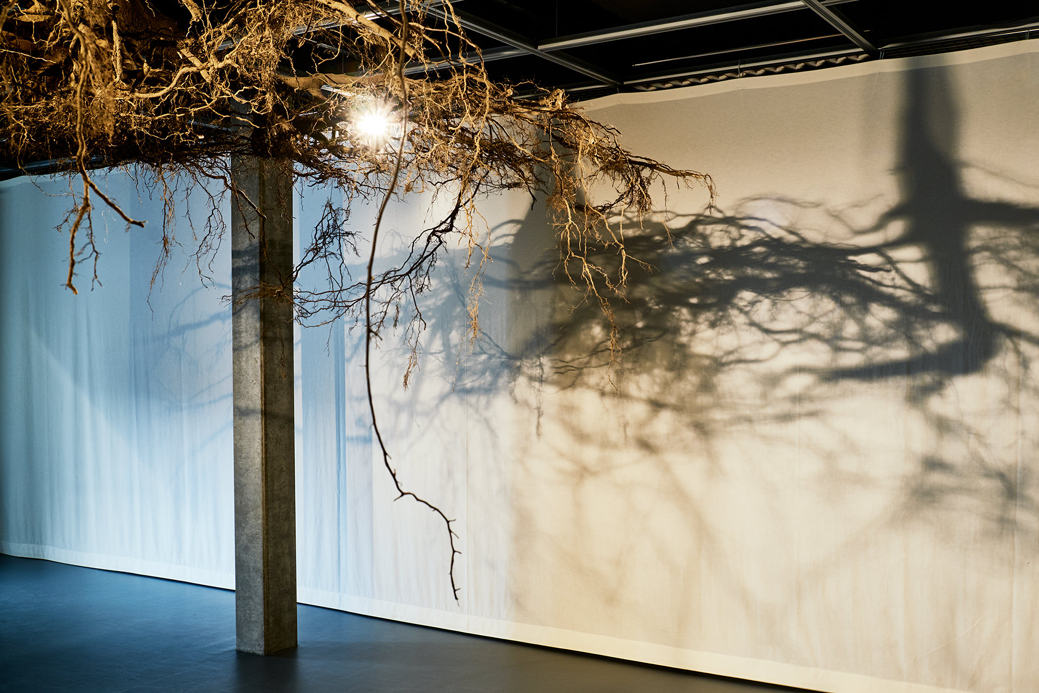 LIVE MATTER - Design Vegetal